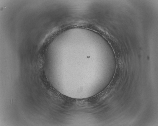 X0000072971447200608041206