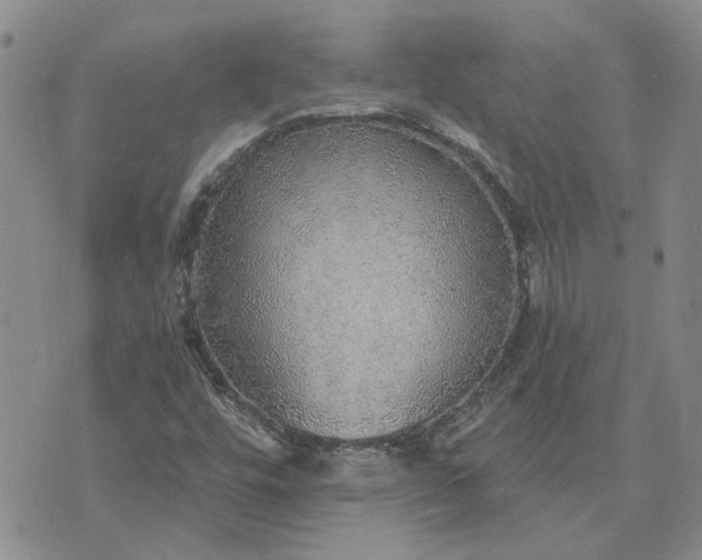 X0000072971448200608041206