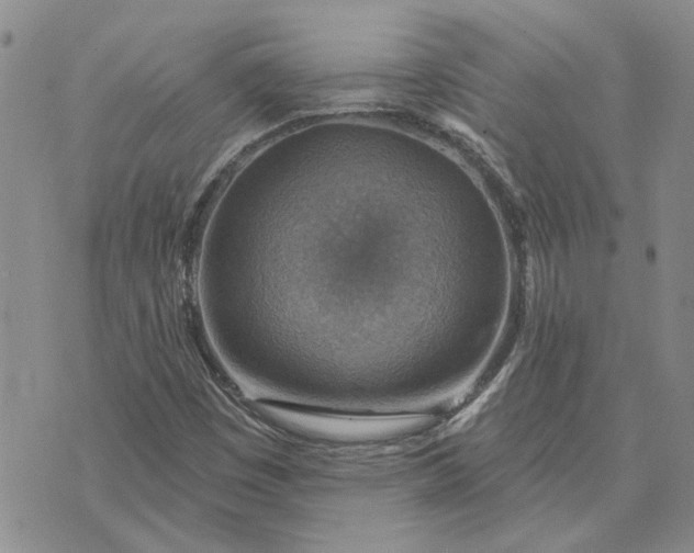 X0000072971449200608041206