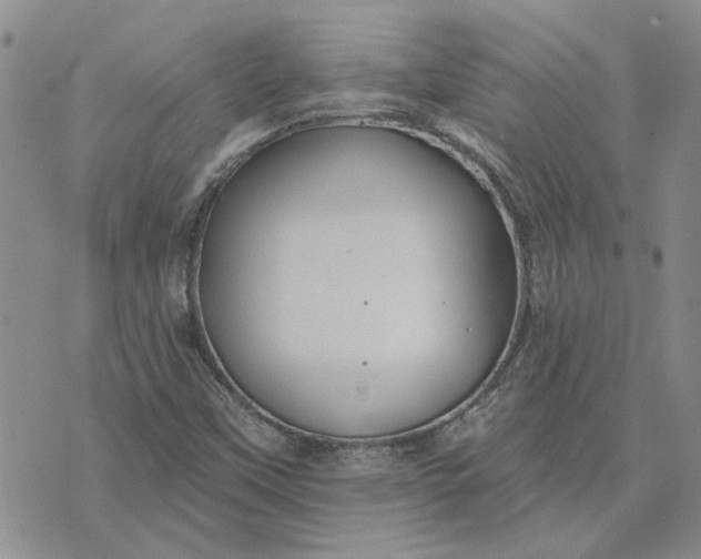 X0000072971451200608041206