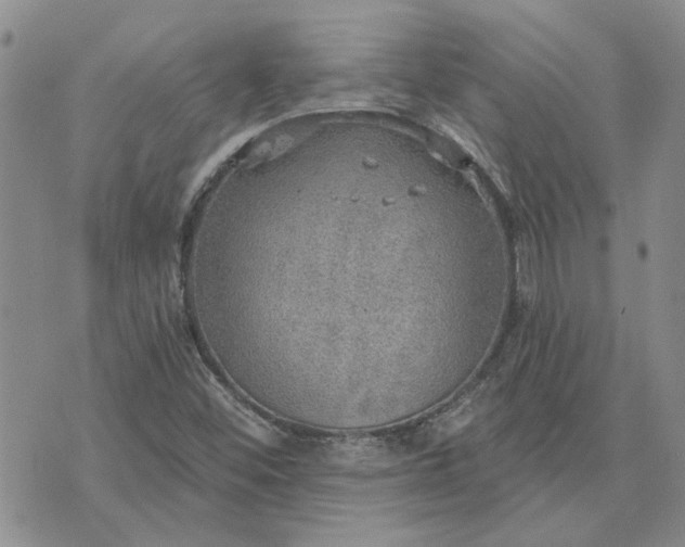 X0000072971452200608041206