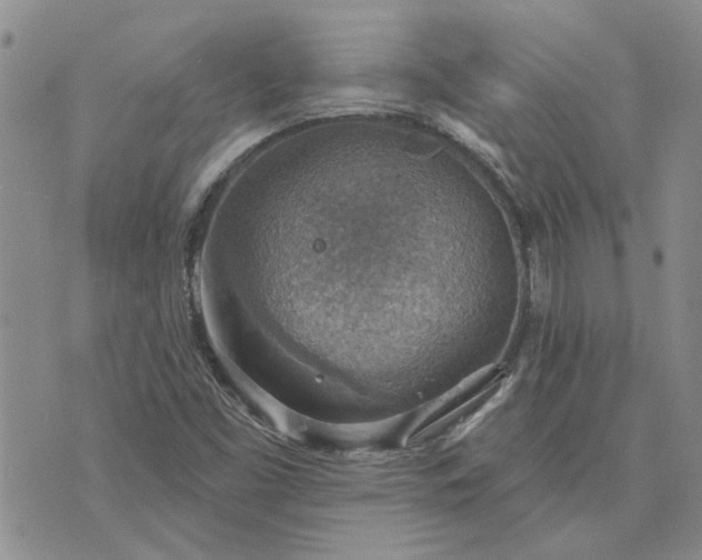 X0000072971453200608041206