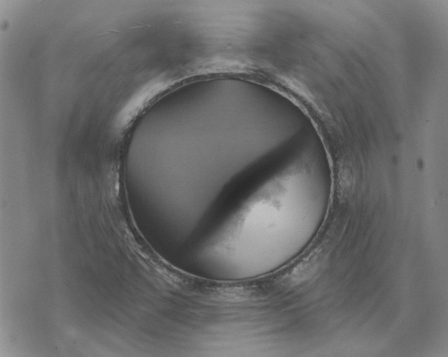 X0000072971455200608041206