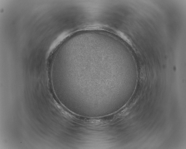 X0000072971456200608041206