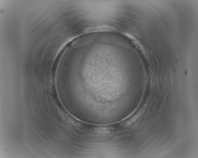 X0000072971457200608041206