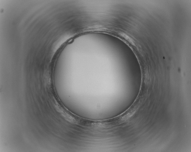 X0000072971458200608041206