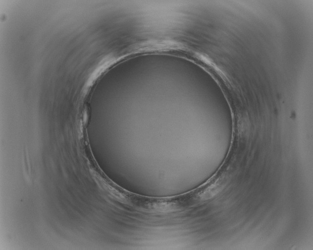 X0000072971459200608041206