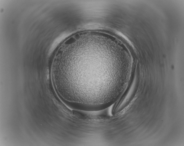 X0000072971461200608041206