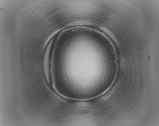 X0000072971465200608041206