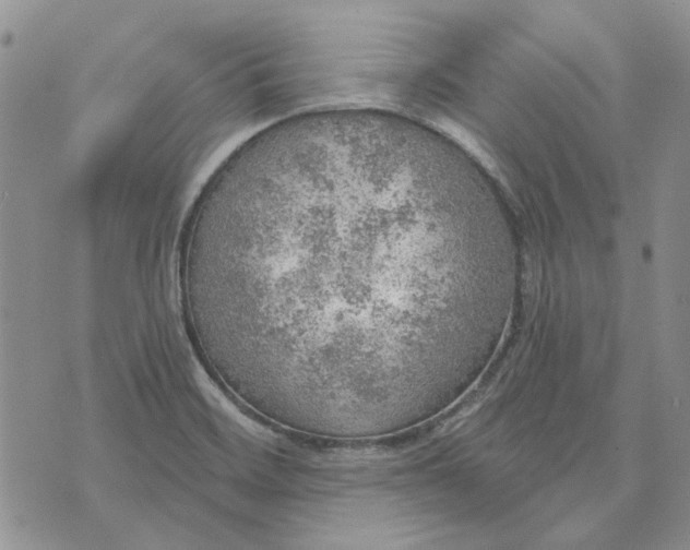 X0000072971468200608041206