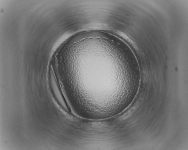 X0000072971469200608041206