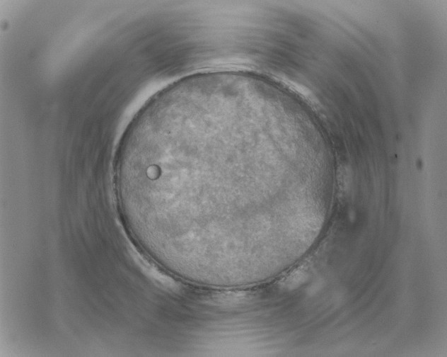 X0000072971470200608041206