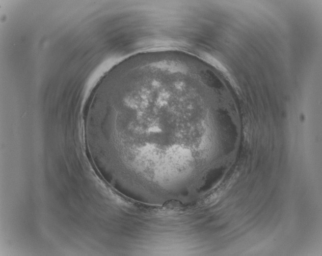 X0000072971472200608041206