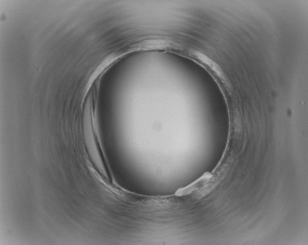 X0000072971473200608041205