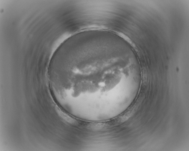 X0000072971474200608041205