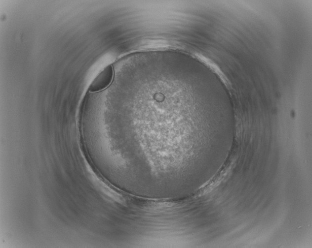 X0000072971475200608041205