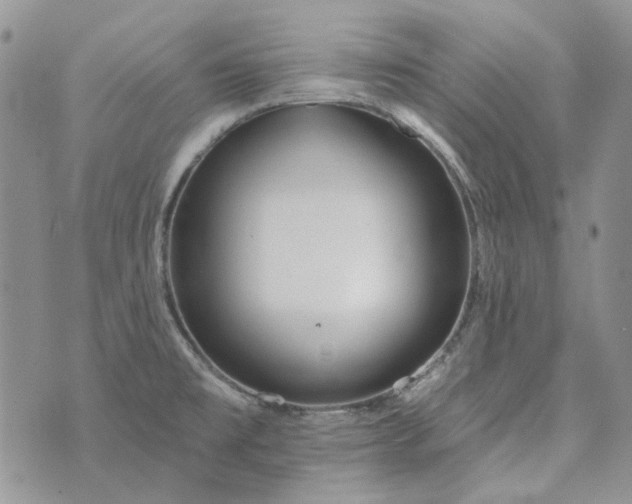 X0000072971477200608041205