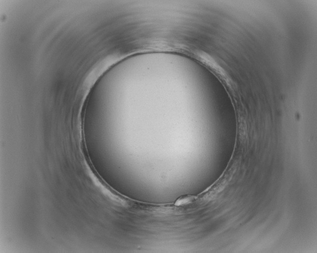 X0000072971479200608041205