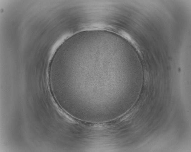 X0000072971480200608041205