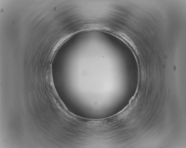 X0000072971481200608041205