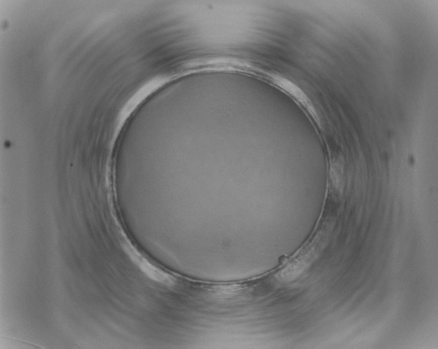 X0000072971482200608041205