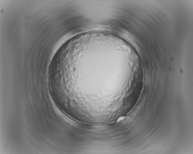 X0000072971483200608041205