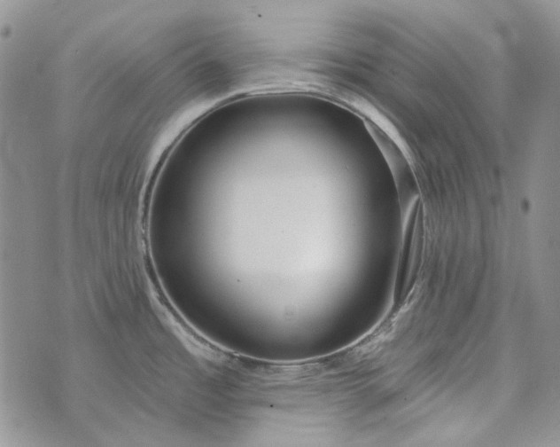 X0000072971485200608041205