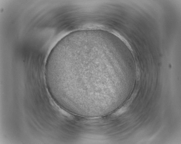 X0000072971486200608041205