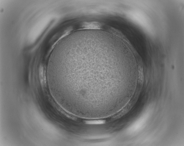 X0000072971487200608041205