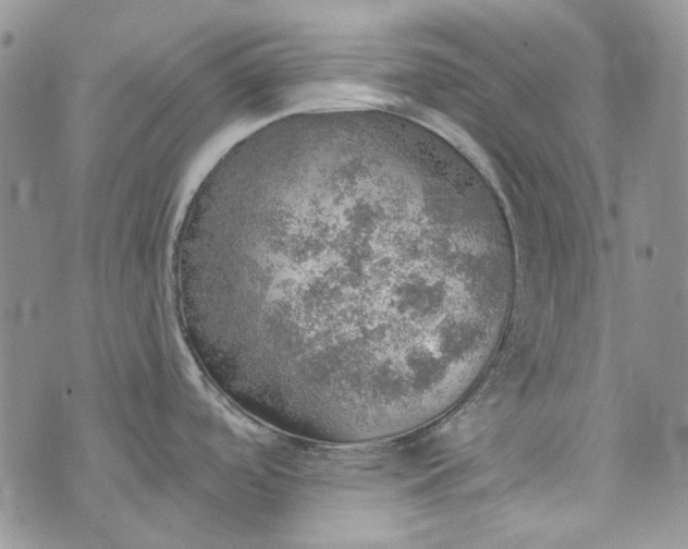 X0000072971488200608041205