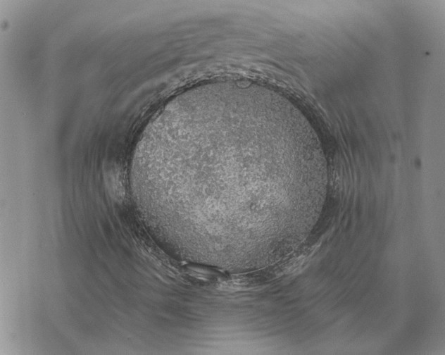 X0000072971490200608041204