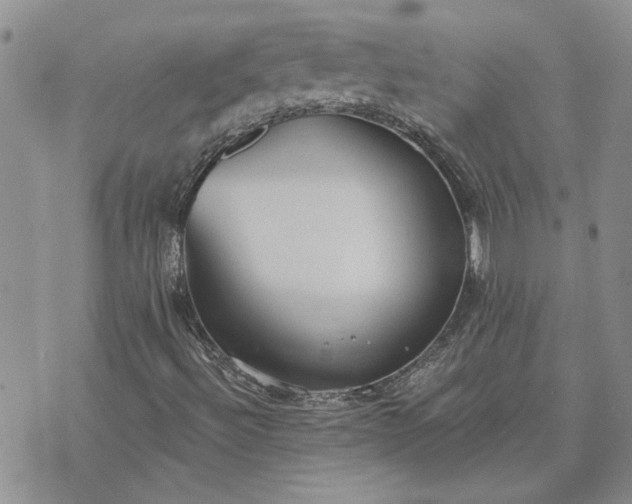 X0000072971492200608041205