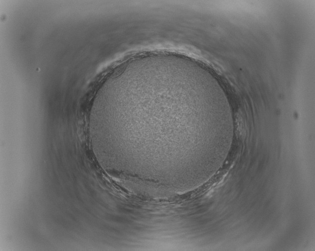 X0000072971494200608041205