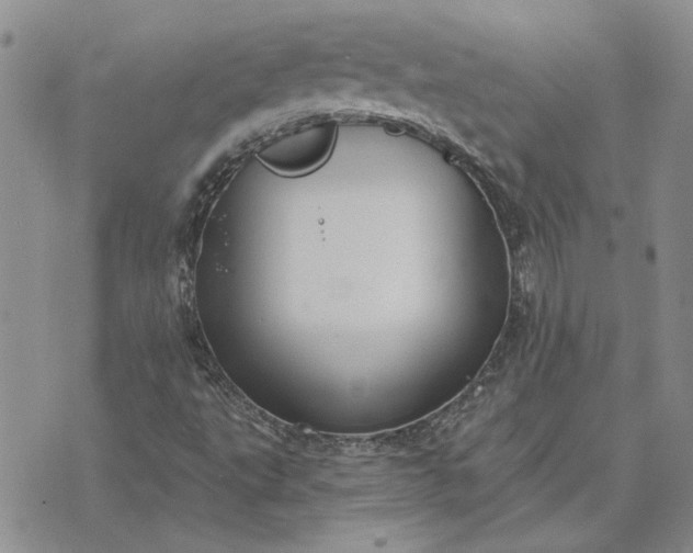 X0000072971495200608041205