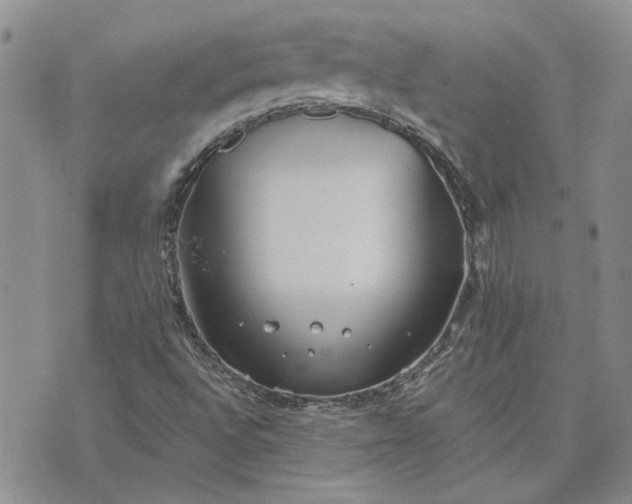 X0000072971496200608041205