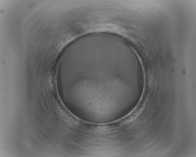 X0000072971497200608041205