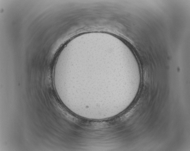 X0000072971498200608041205