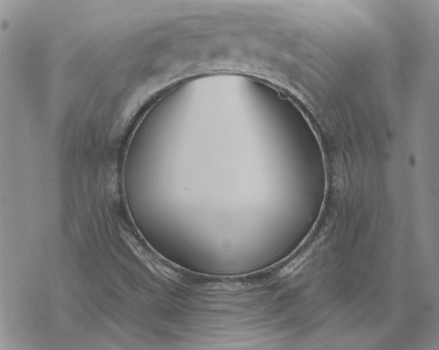 X0000072971499200608041205