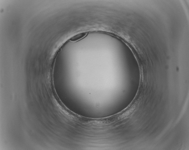 X0000072971500200608041205