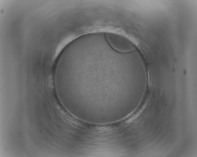 X0000072971501200608041205