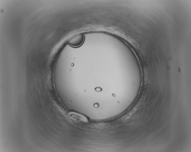 X0000072971502200608041205