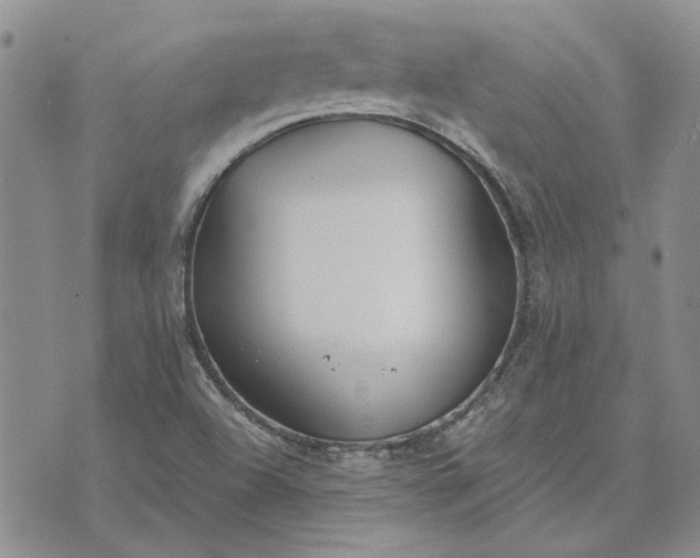 X0000072971504200608041205