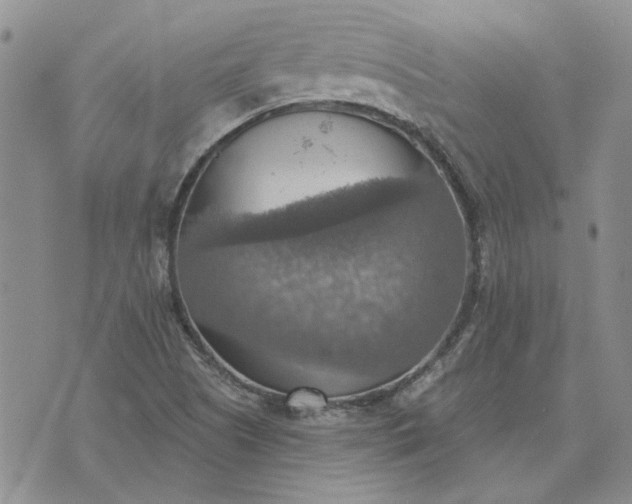 X0000072971505200608041205