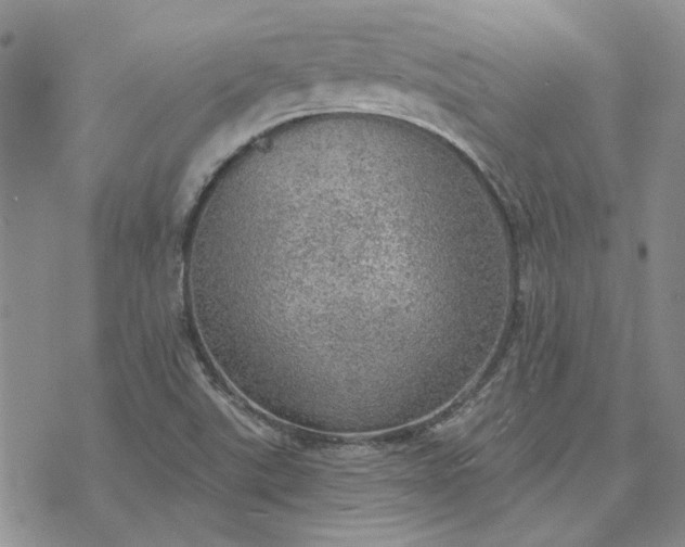 X0000072971507200608041205