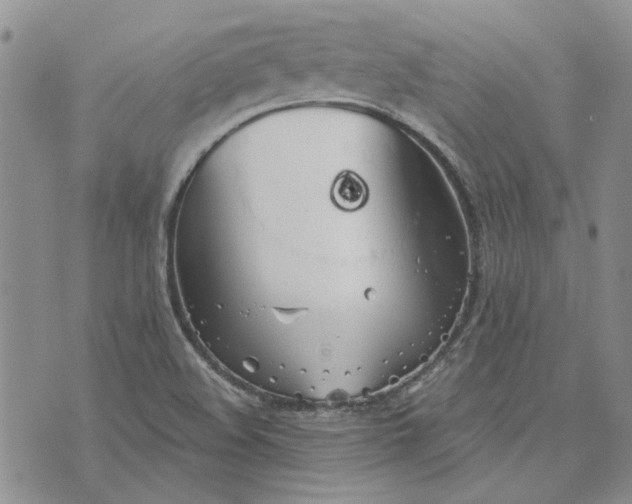 X0000072971508200608041205