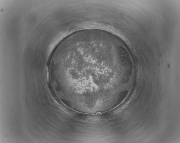 X0000072971509200608041205