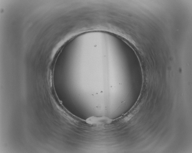 X0000072971510200608041205