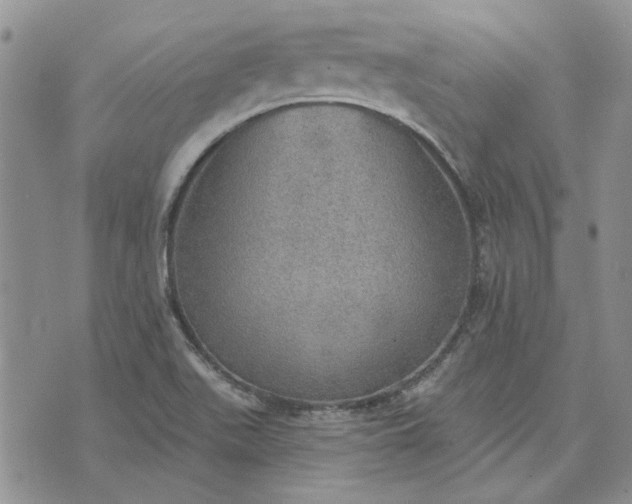 X0000072971511200608041205