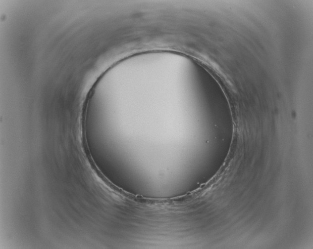 X0000072971512200608041205