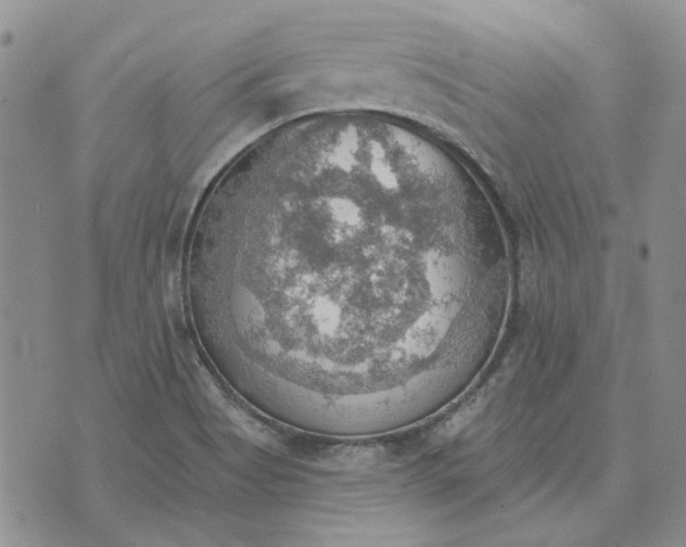 X0000072971513200608041205